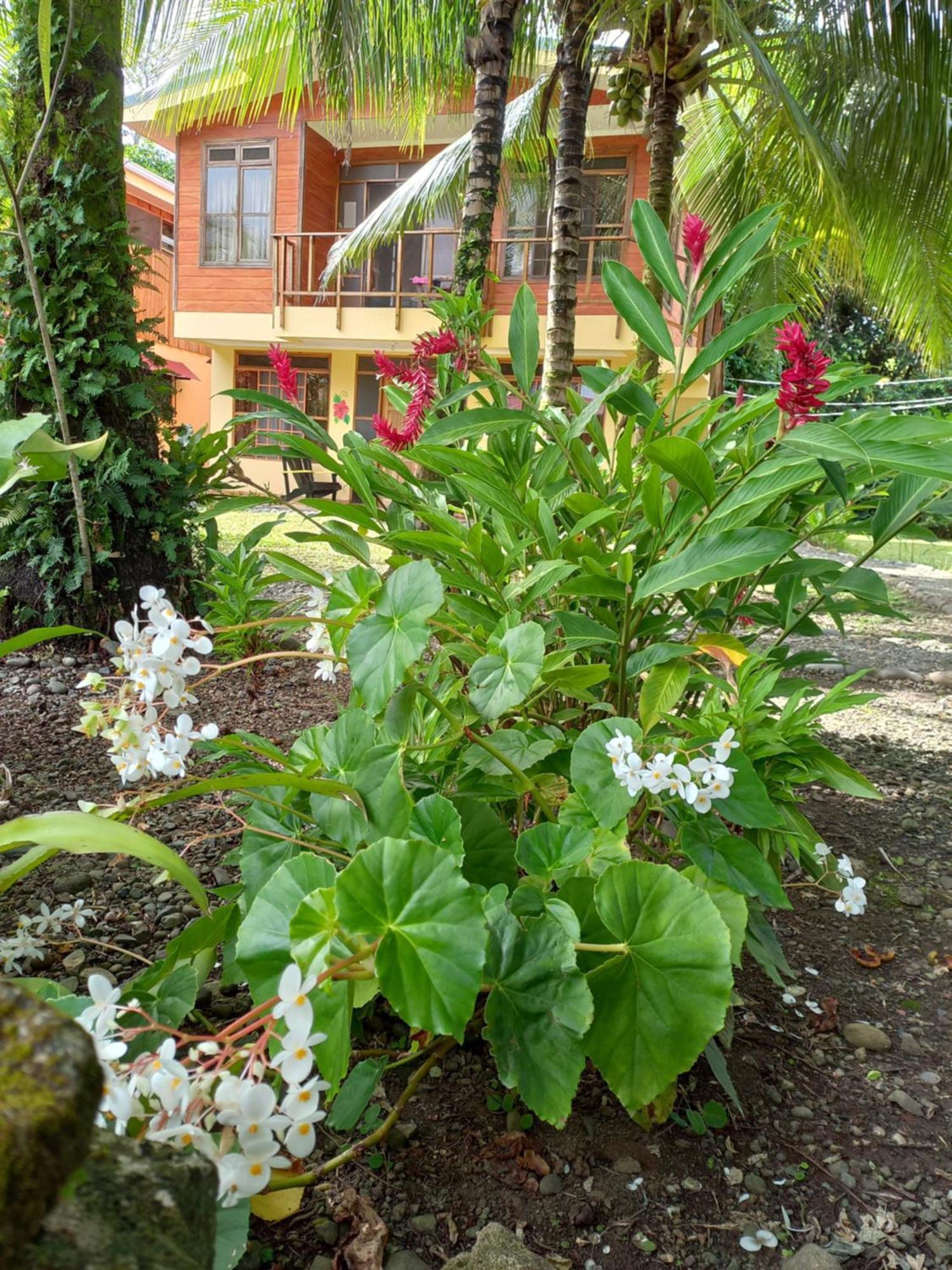 Aparthotel Babilonia Cahuita Esterno foto