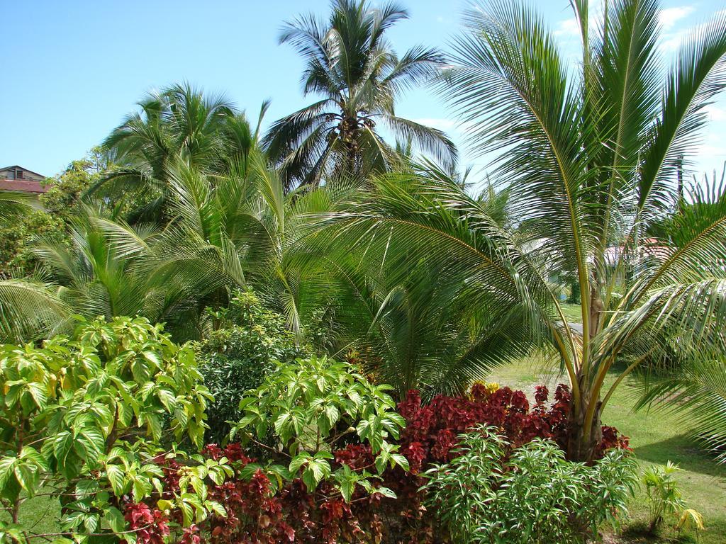 Aparthotel Babilonia Cahuita Camera foto