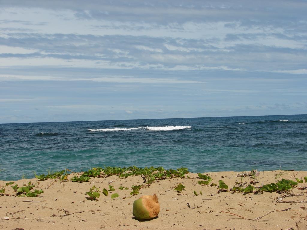 Aparthotel Babilonia Cahuita Esterno foto