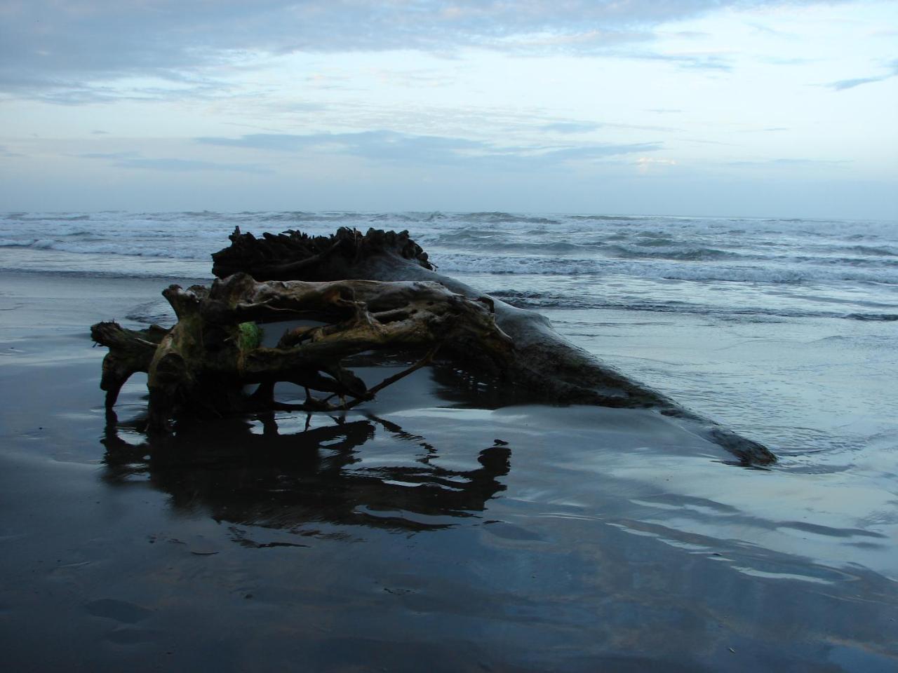 Aparthotel Babilonia Cahuita Esterno foto